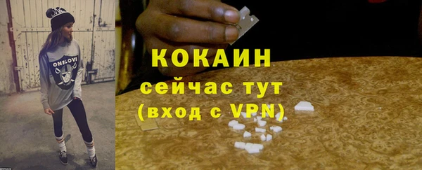 гидра Краснослободск